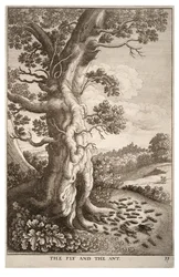 La mouche et la fourmi